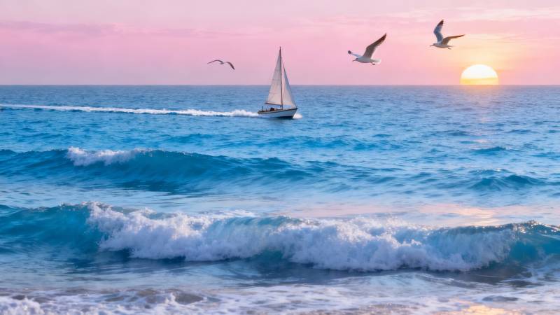 夕阳帆船海鸥共舞海面图片