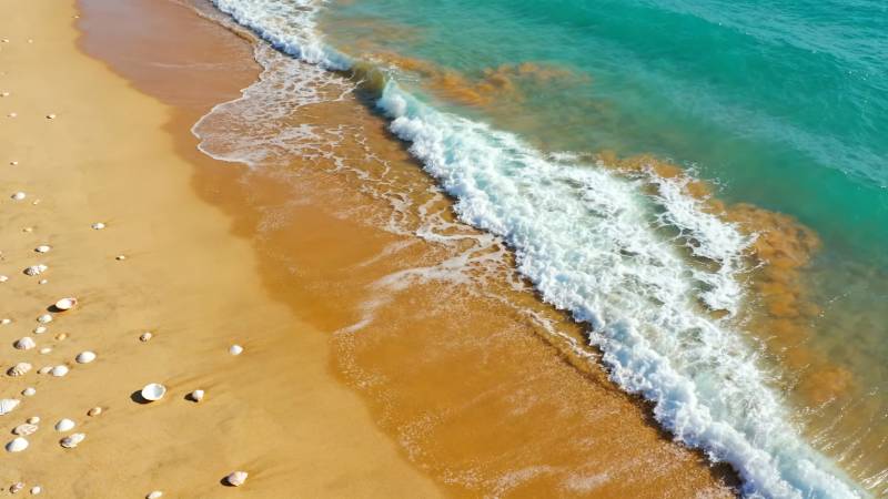 碧海金沙 浪花轻抚岸图片