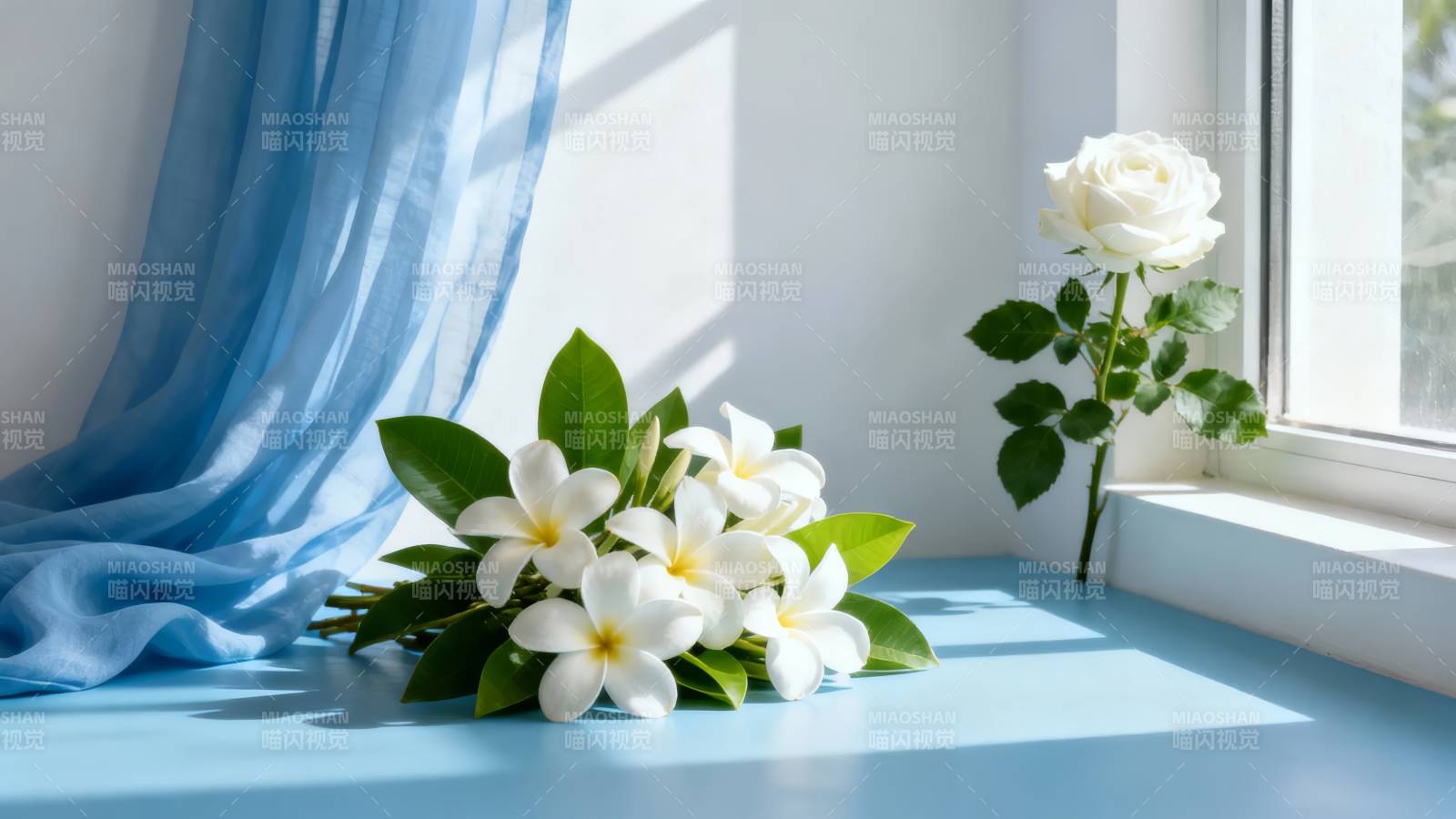 窗边白花与蓝帘静美图片