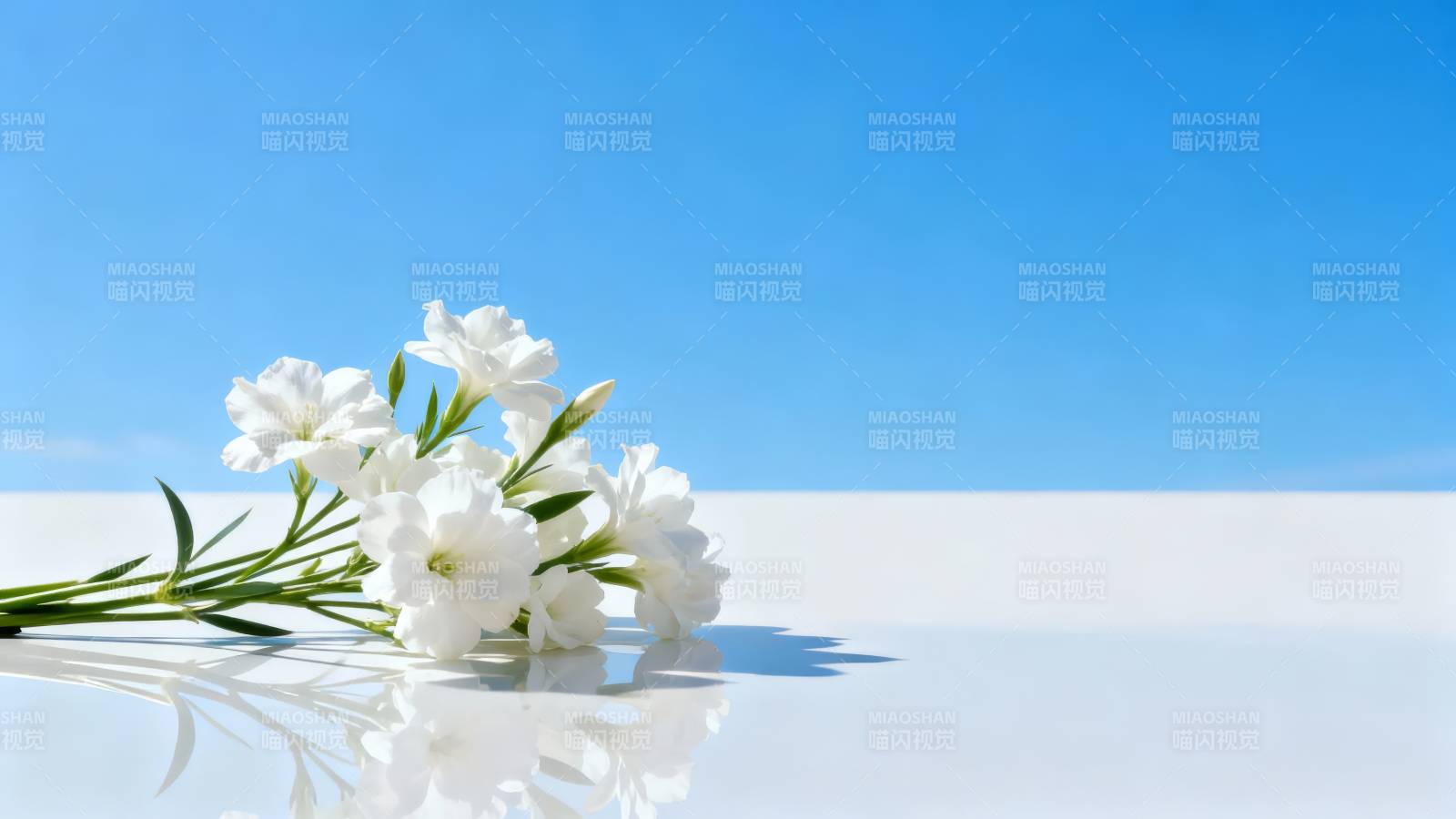 白花映蓝天 静美如诗画图片