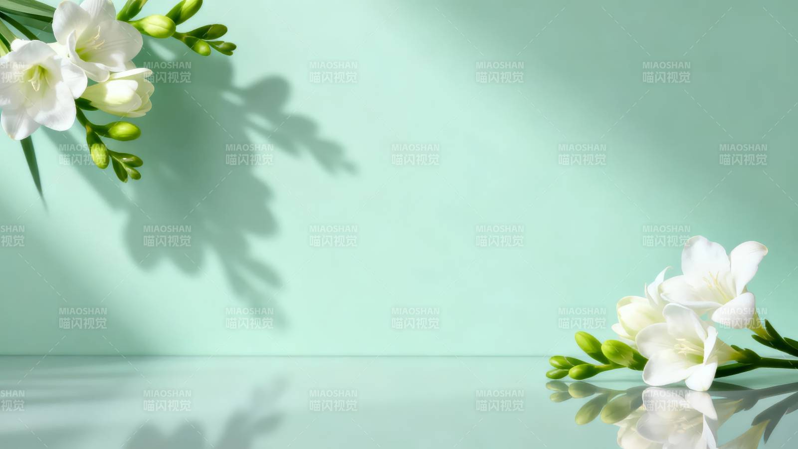 白花绿影 清新静谧图片