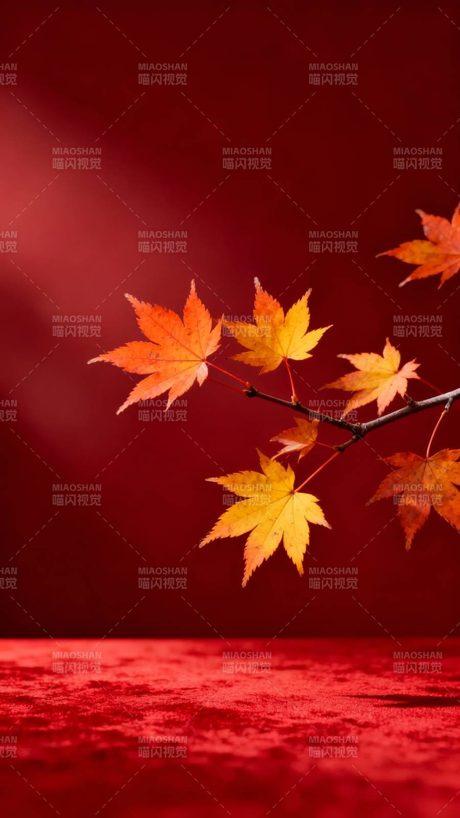 红底秋叶 静美如画图片
