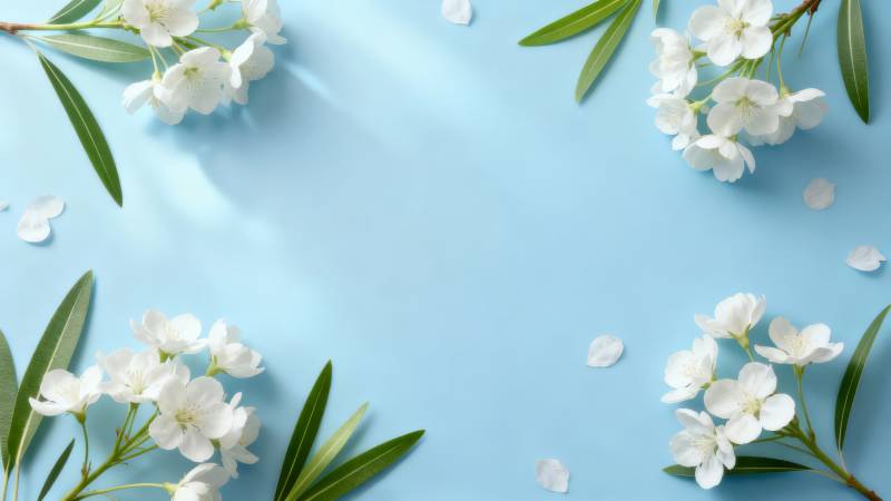 蓝底白花绿叶清新风图片