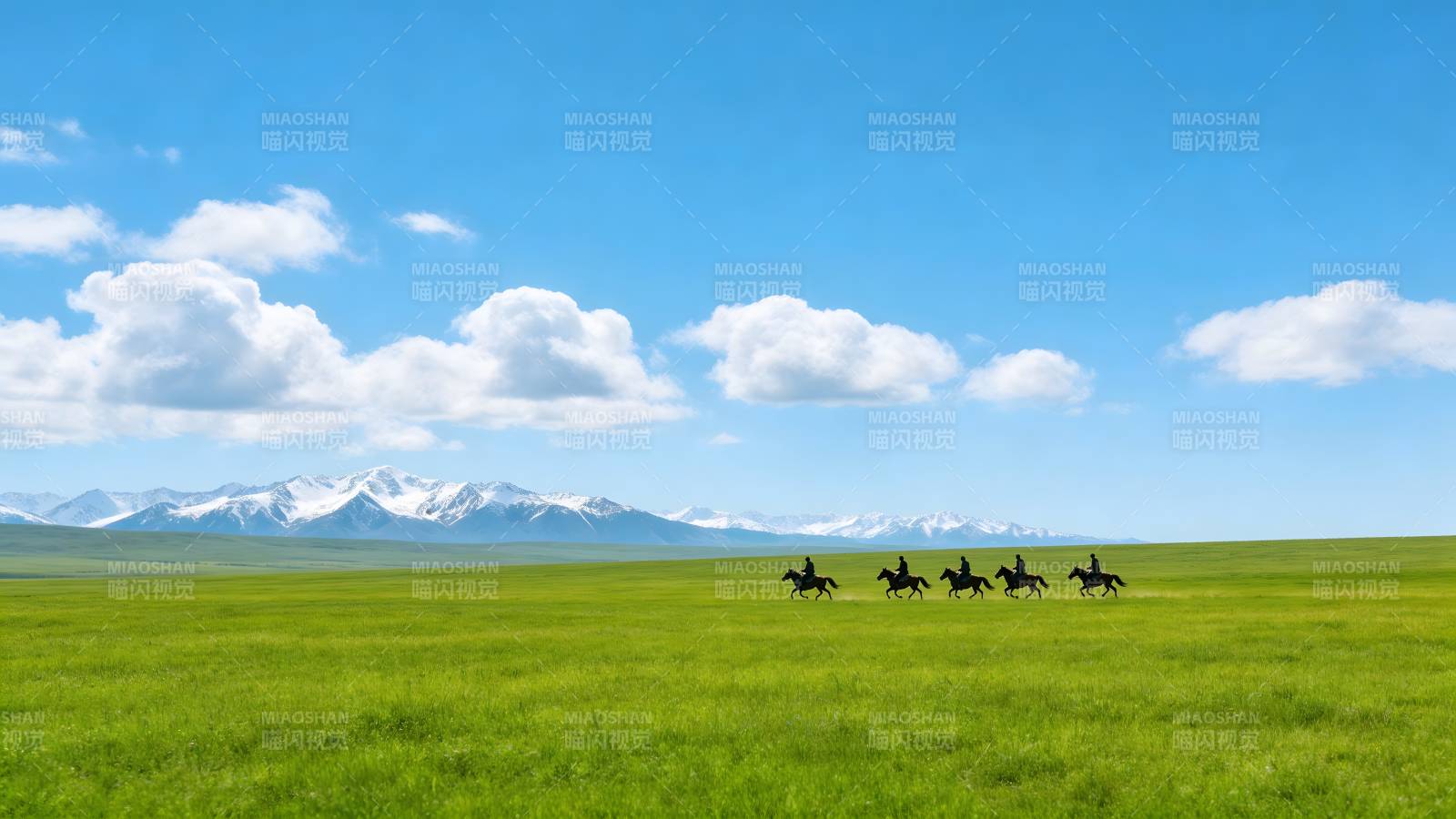 草原驰骋 雪山为伴图片