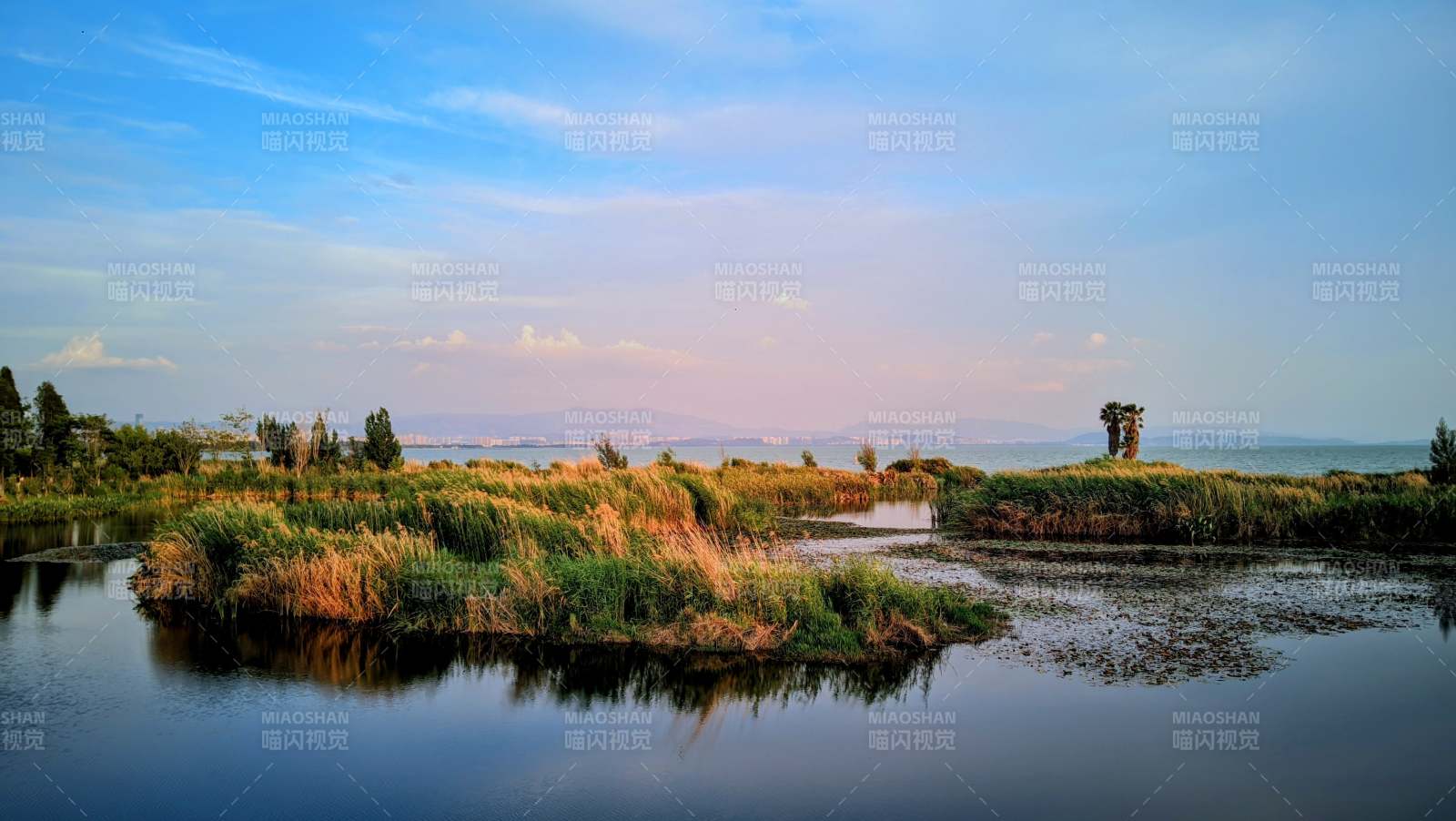 湿地水天一色静美（昆明宝丰湿地公园）图片