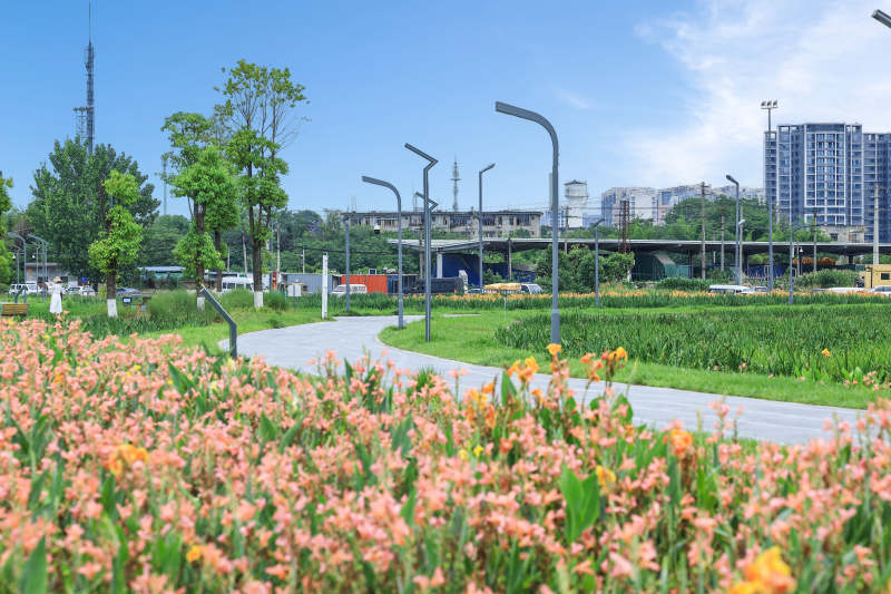 花海小径 城市绿意盎然图片