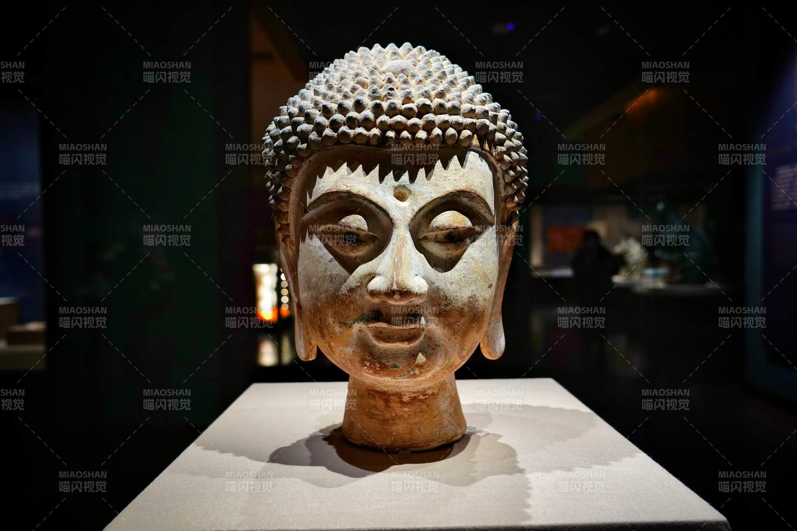 佛头雕像展于博物馆中图片
