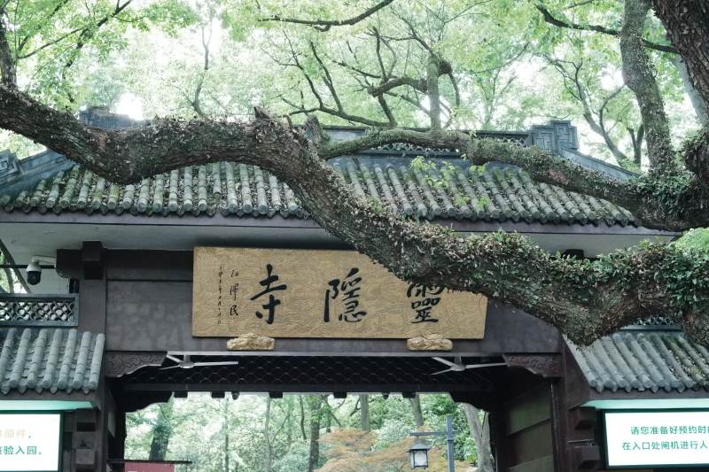 灵隐寺古树掩映山门图片