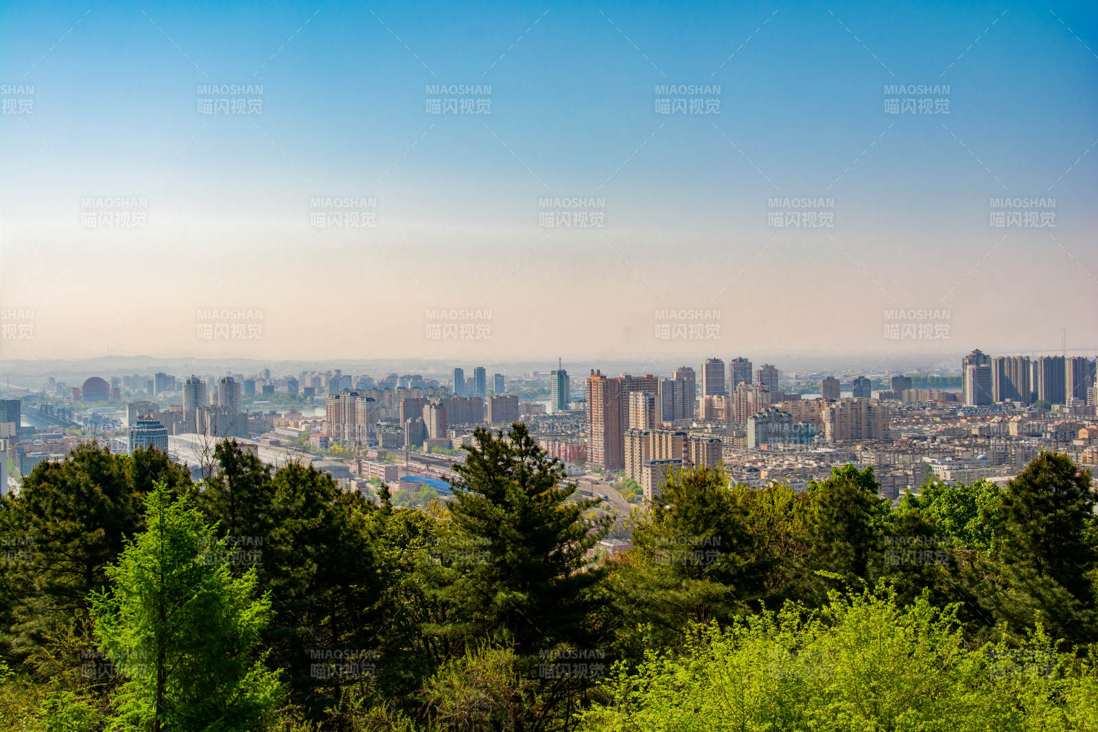 山城绿意映都市天际线图片
