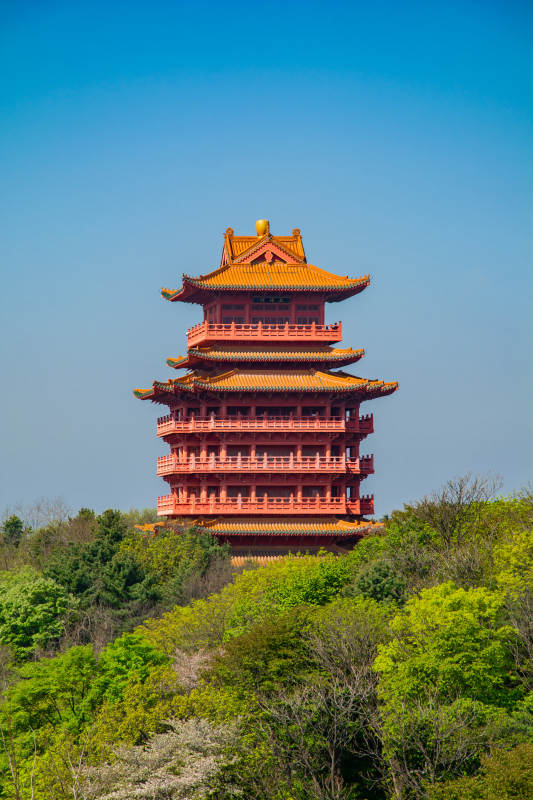 古塔耸立绿树间图片