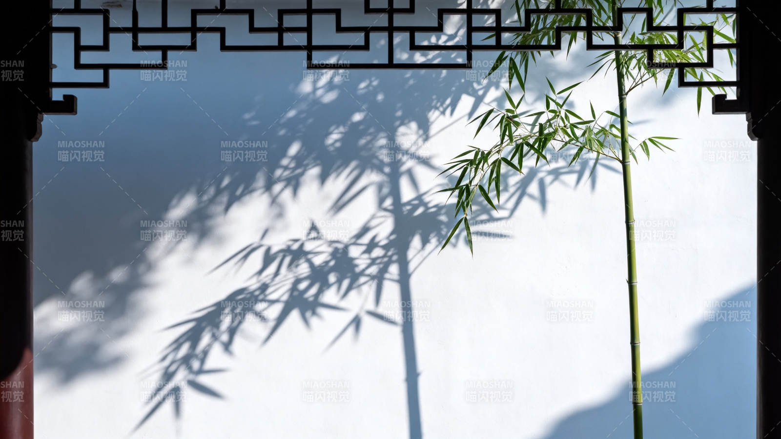 竹影婆娑映白墙图片