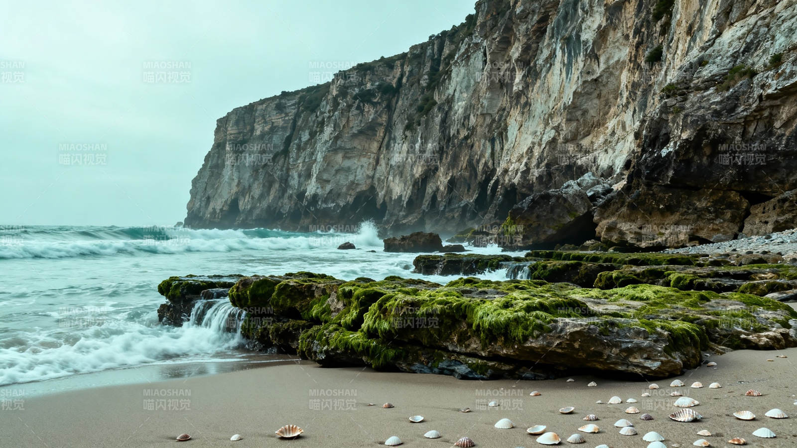 海崖苔石 浪涌沙贝静图片