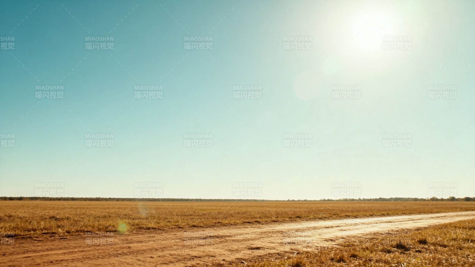 荒野之路 阳光倾城图片