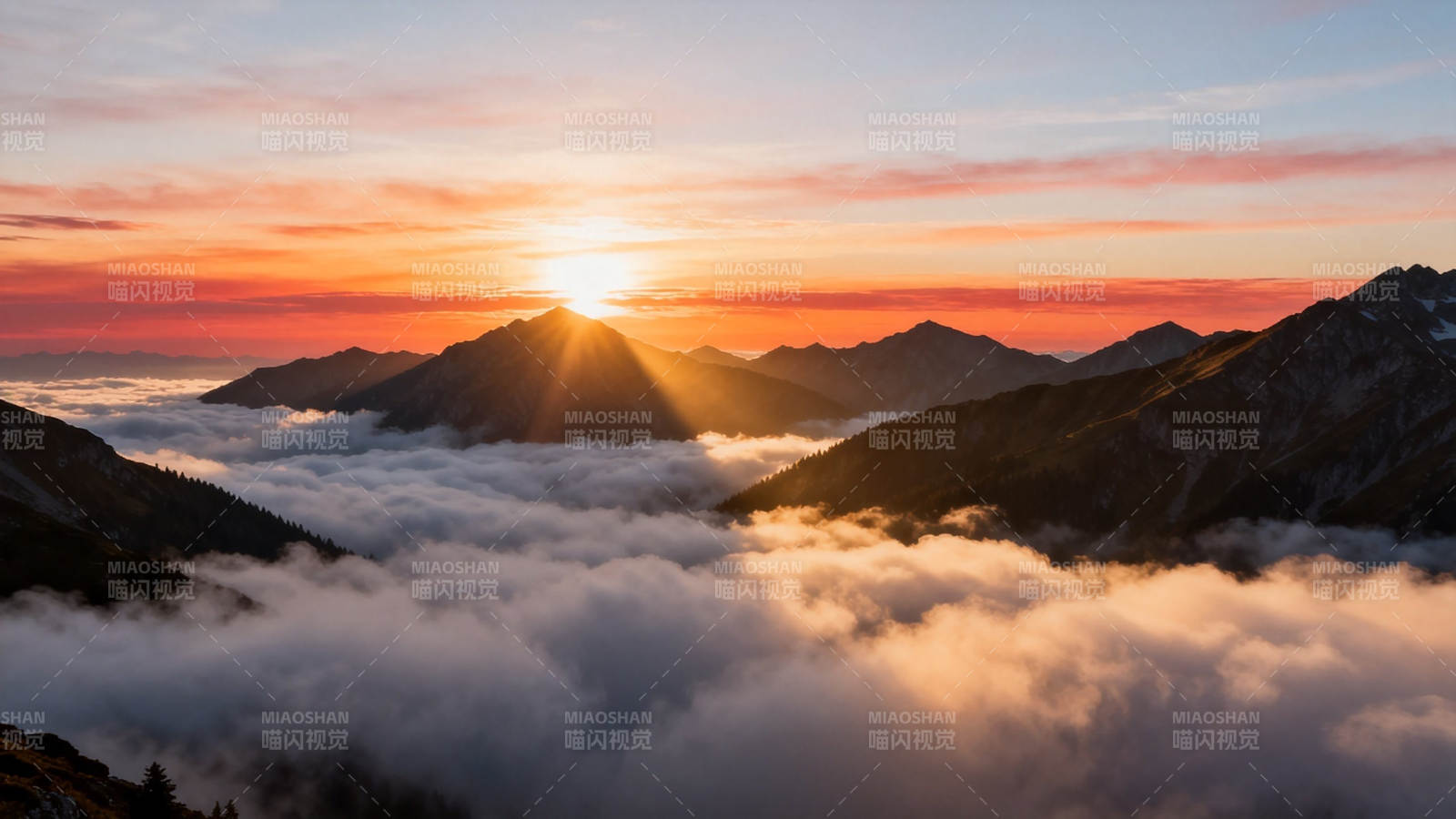 云海日出 山峦披金霞图片