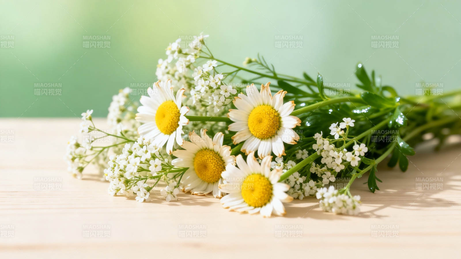 雏菊小白花束静置木桌图片