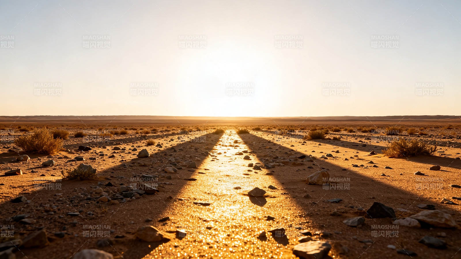 沙漠金光路 夕阳映征途图片