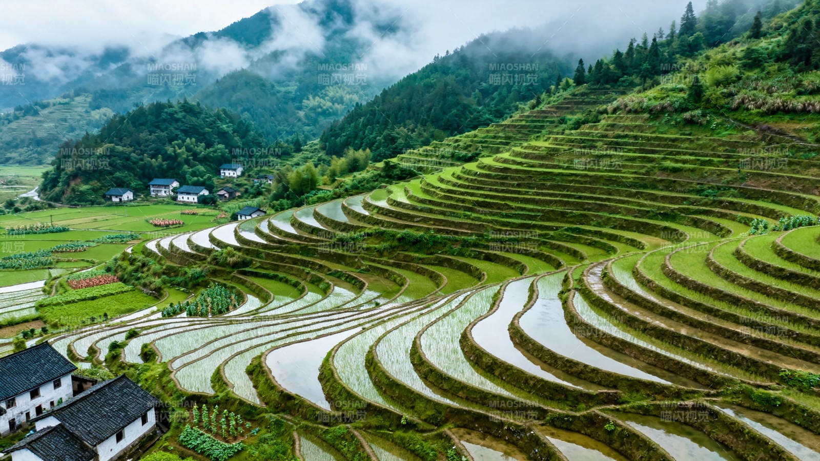 云雾梯田 山居如画图片
