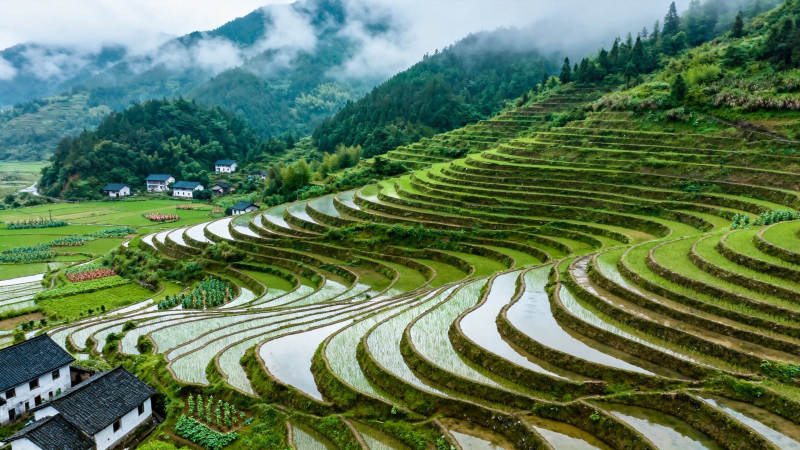 云雾梯田 山居如画图片