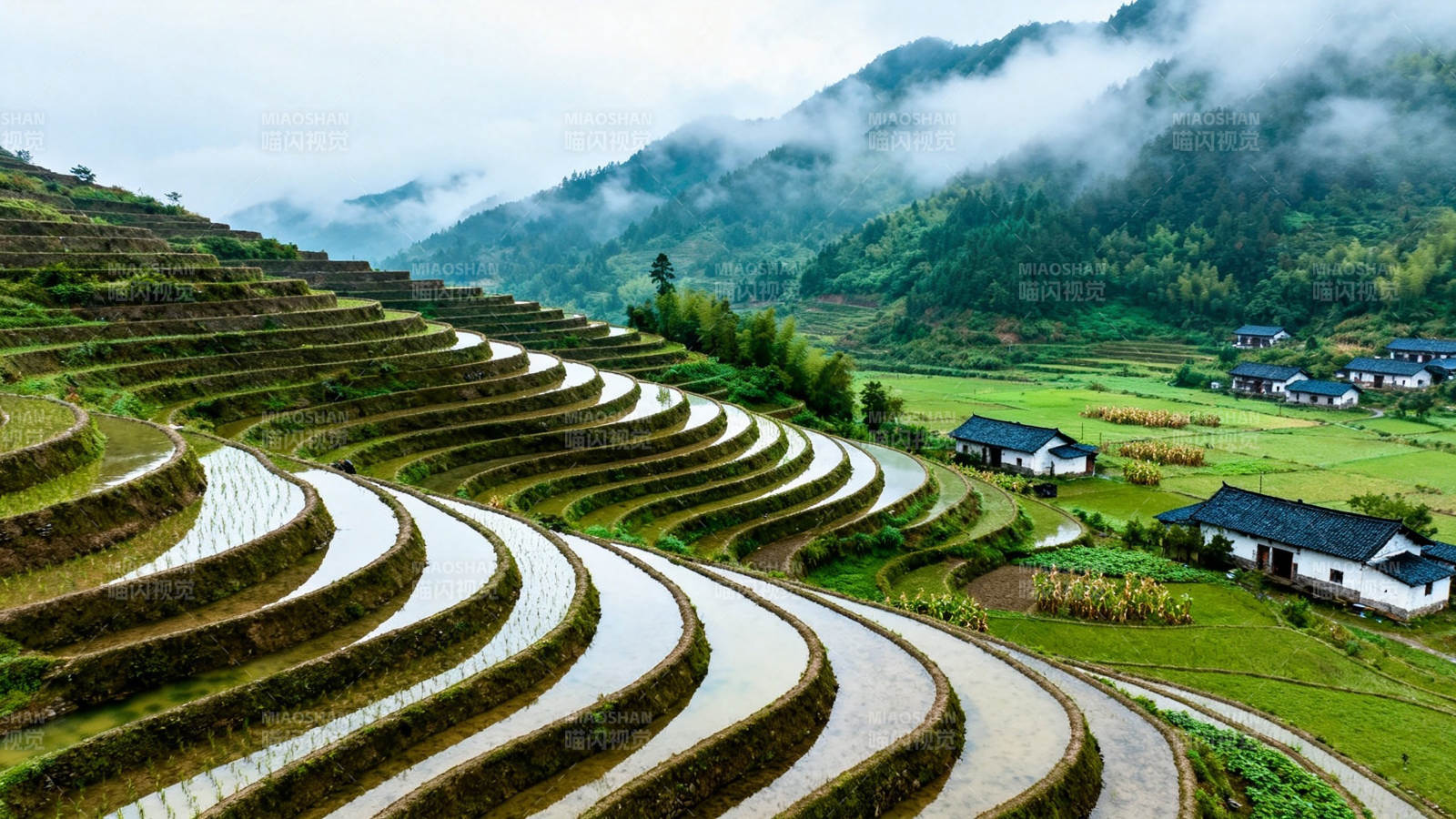 云雾梯田 山居如画图片