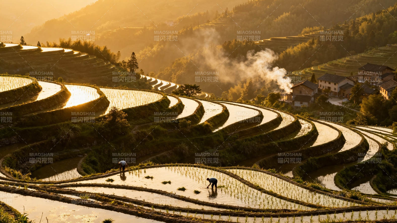 梯田晨耕 烟霞绕山居图片