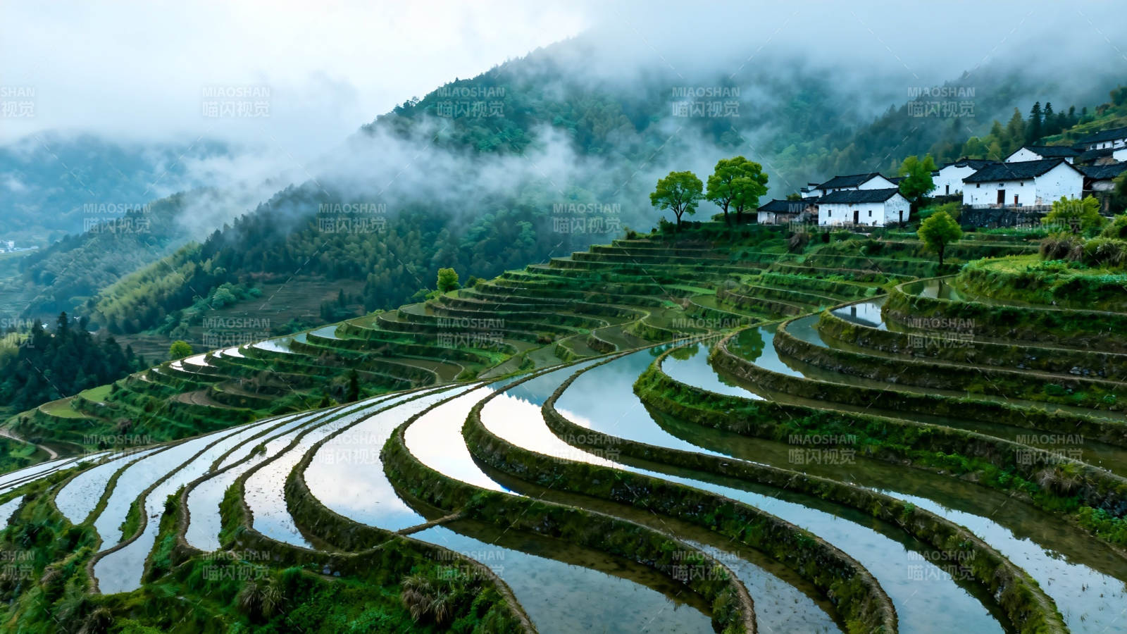 云雾梯田 山居如画图片