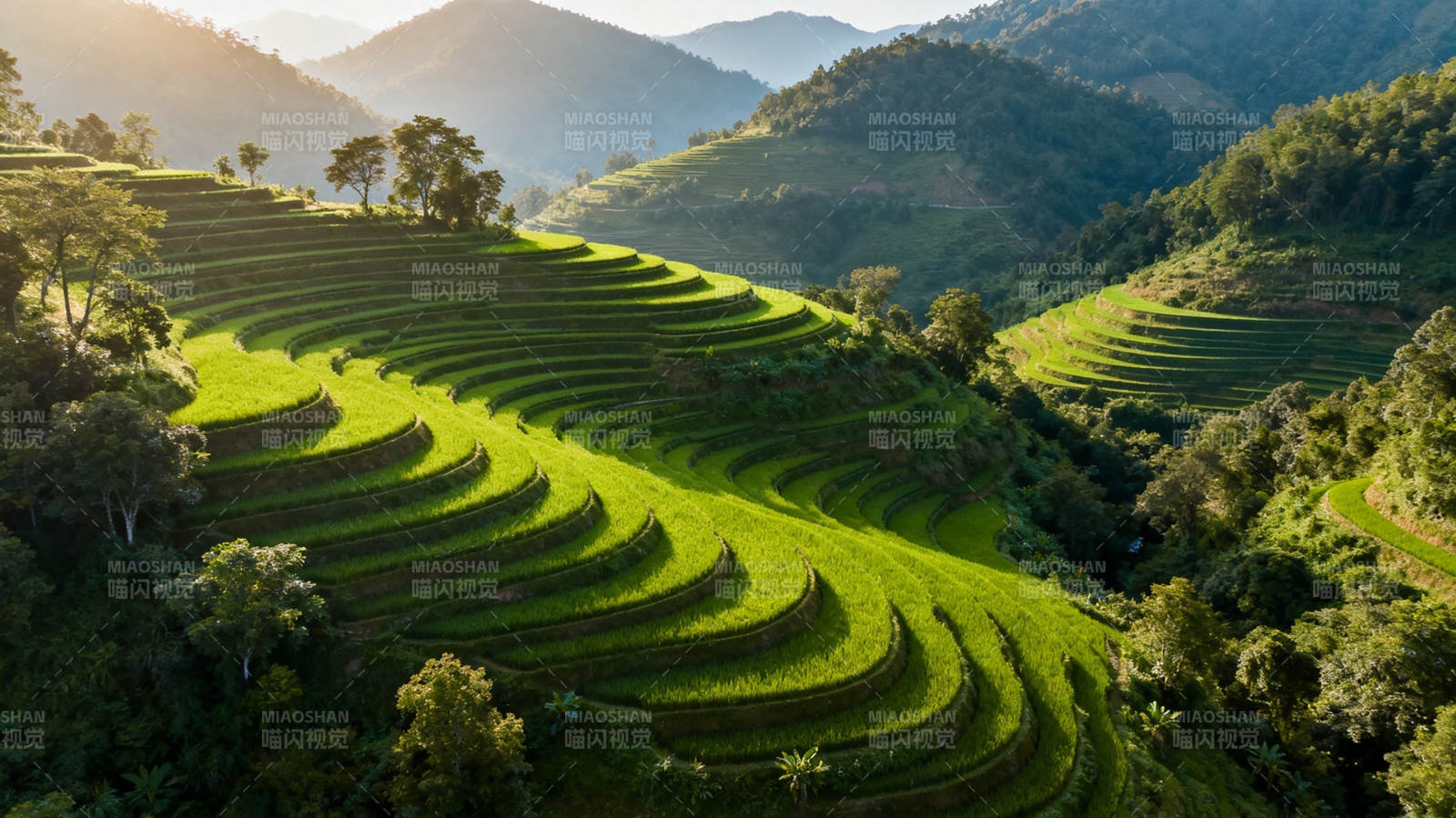 青山梯田 晨光如画图片