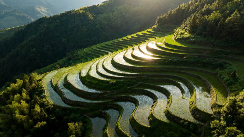 梯田映日 山峦叠翠如画图片