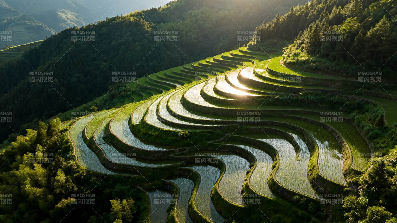 梯田映日 山峦叠翠如画图片