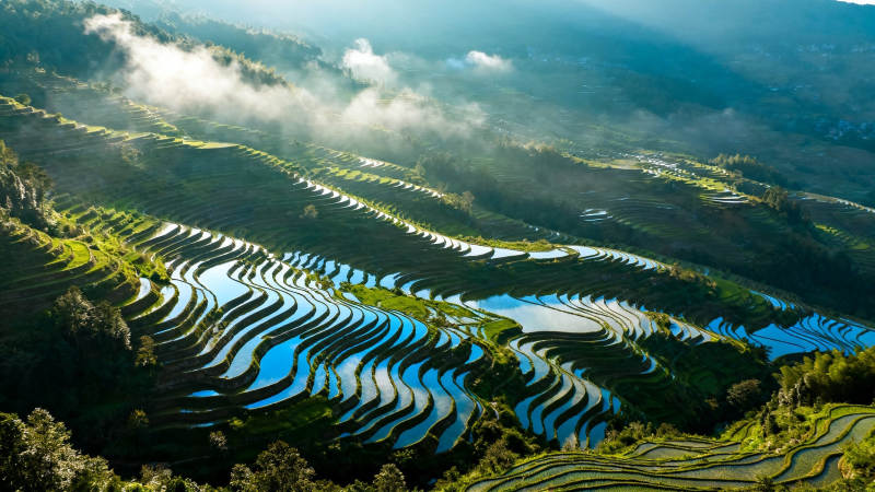 云雾梯田 如诗如画图片