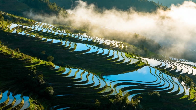 云海梯田 水光潋滟如画图片