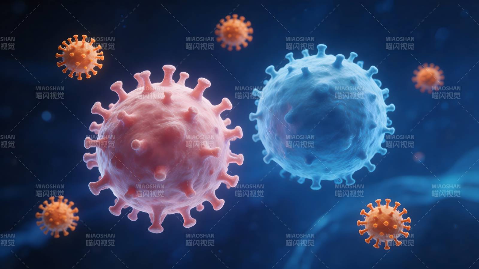 病毒与免疫细胞对抗图图片
