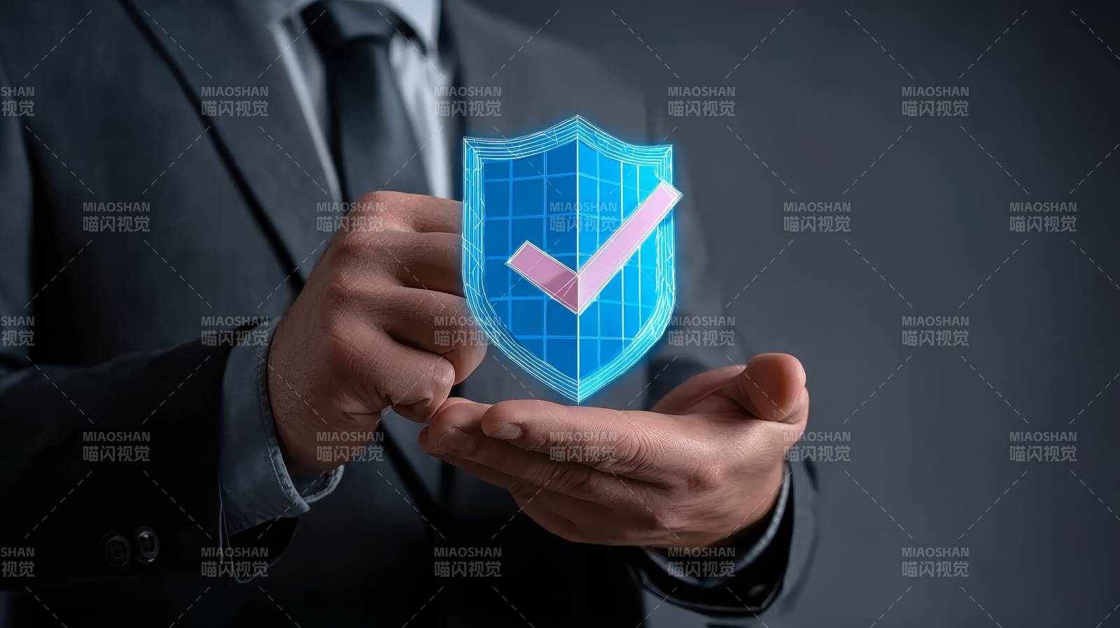 手持盾标 安全无忧图片