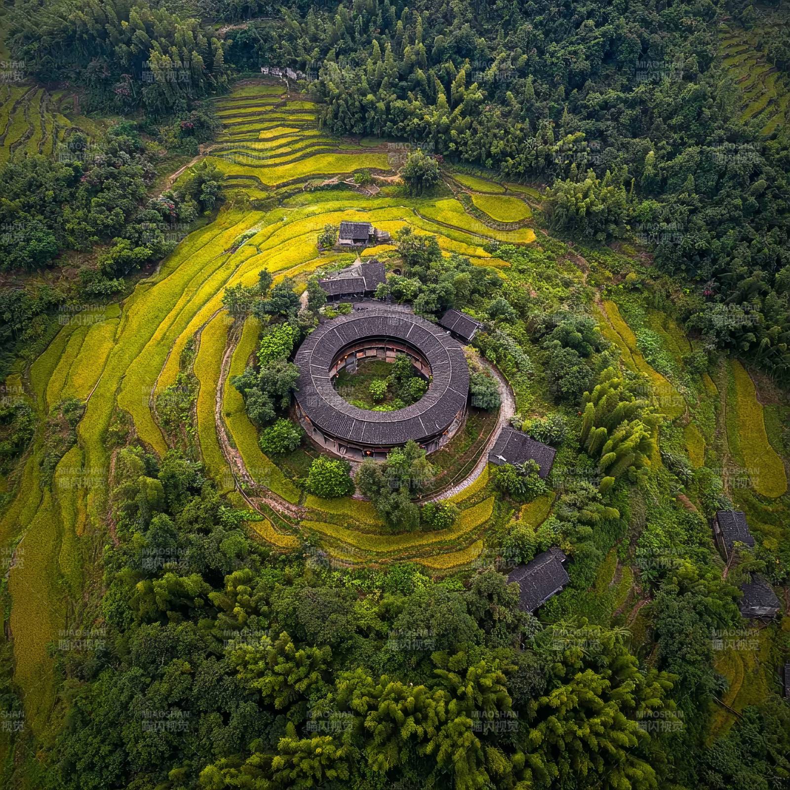 梯田环抱土楼 山水画卷图片