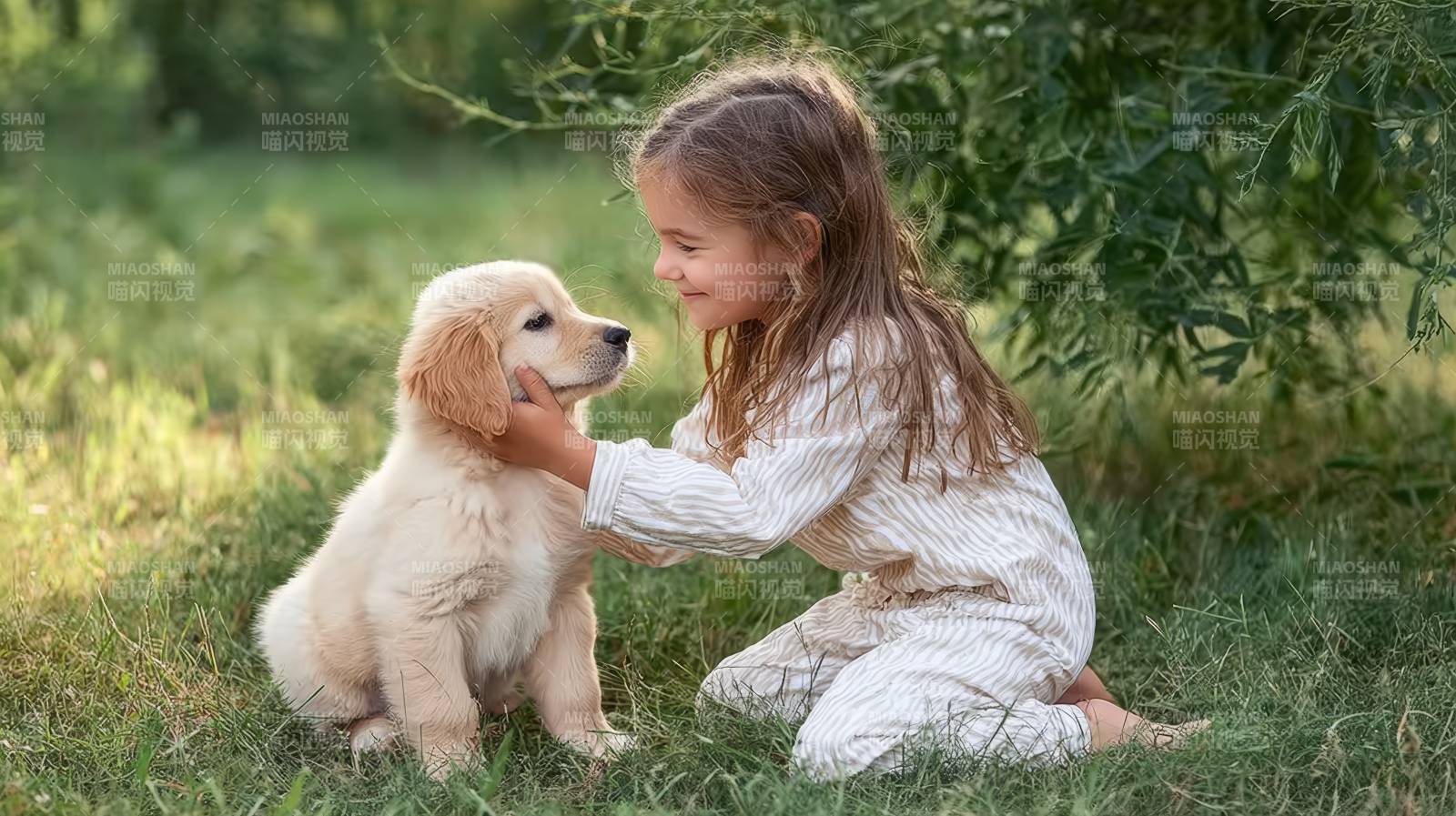 小女孩与金毛幼犬的温馨时光图片
