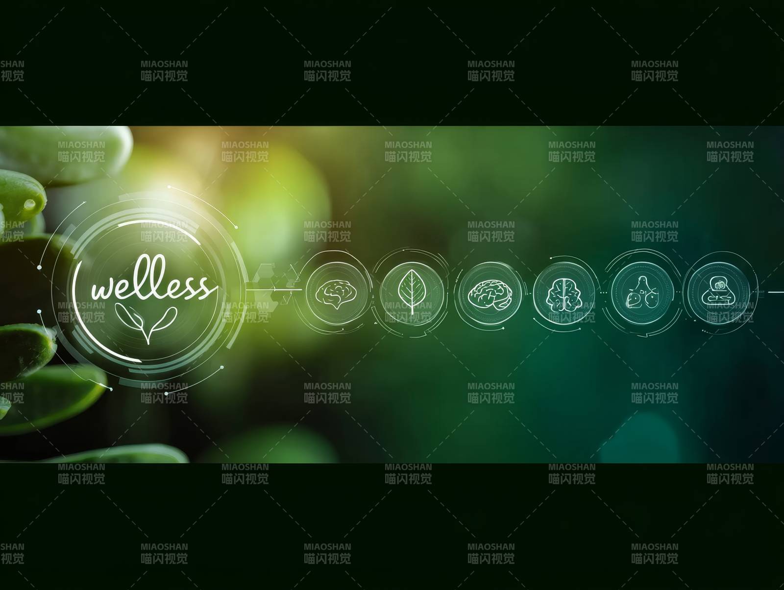 wellness 自然与健康之旅图片