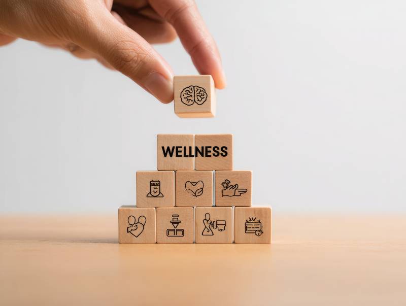 构建 wellness 金字塔图片