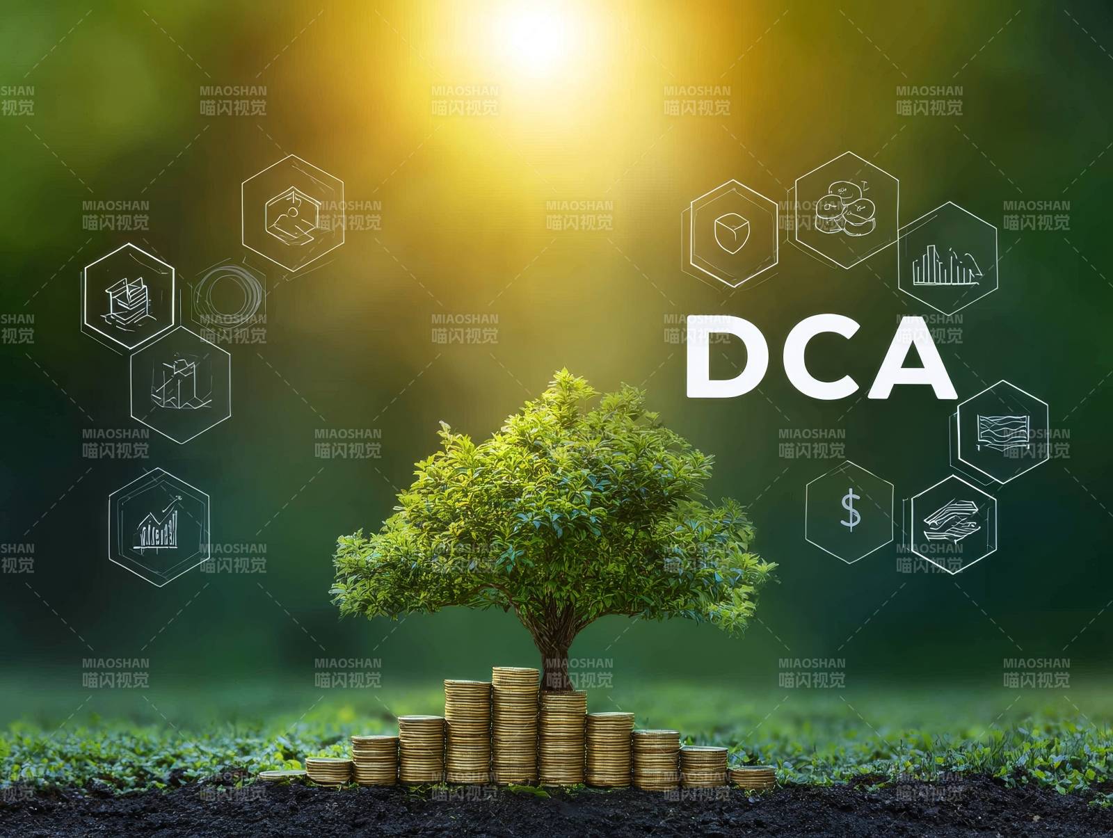 DCA定投如树 稳生财富图片