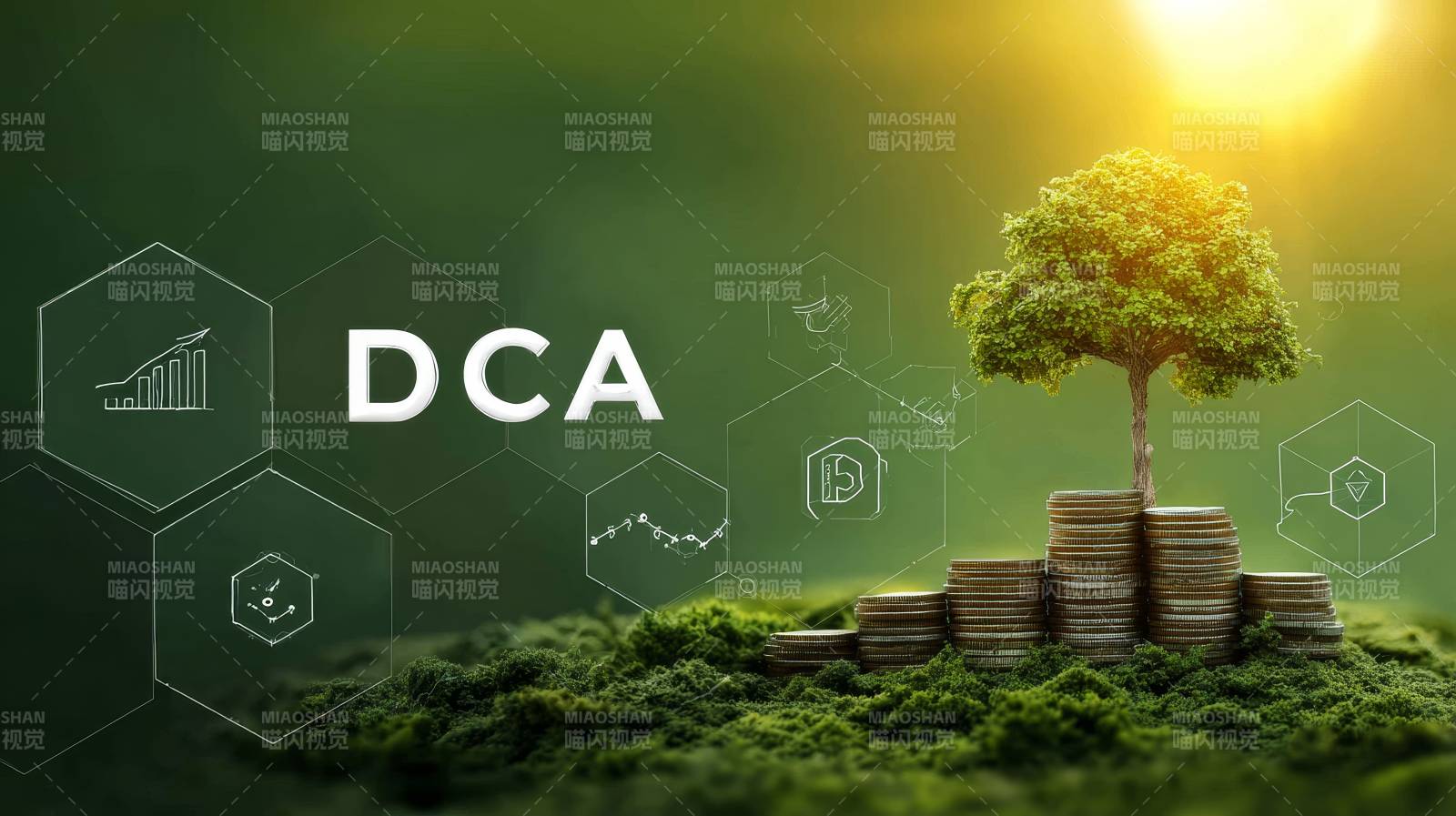 DCA定投 财富如树生长图片