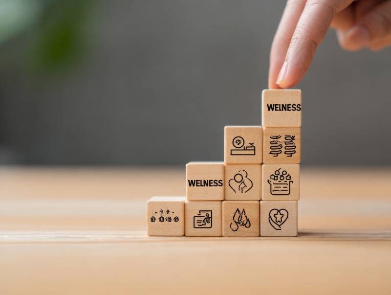 wellness阶梯 手搭健康积木图片