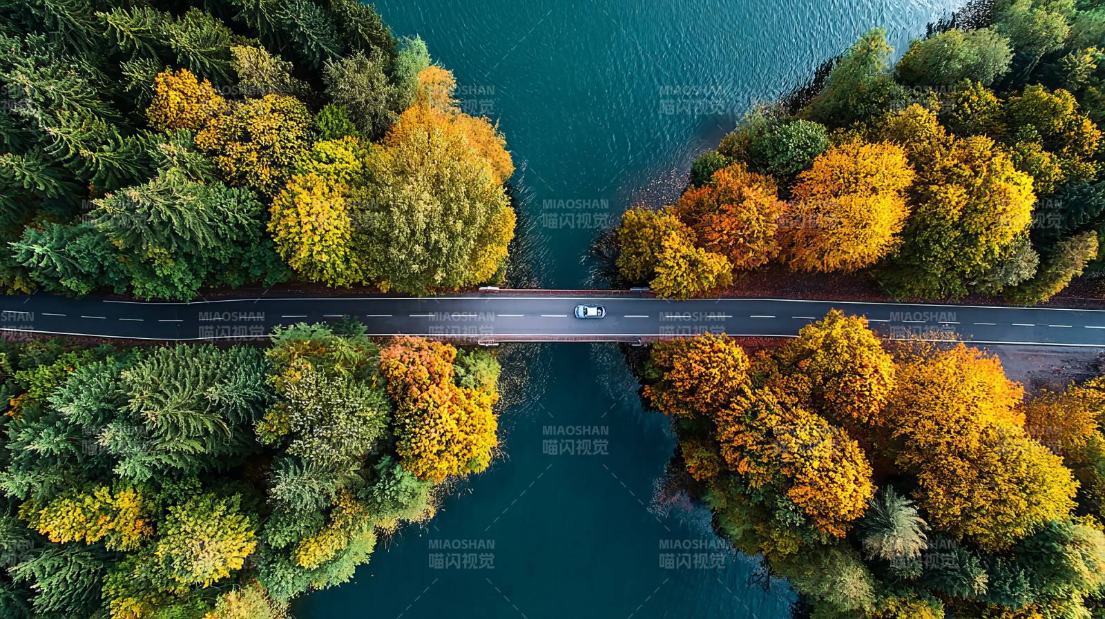 秋色湖上桥 车行画中景图片