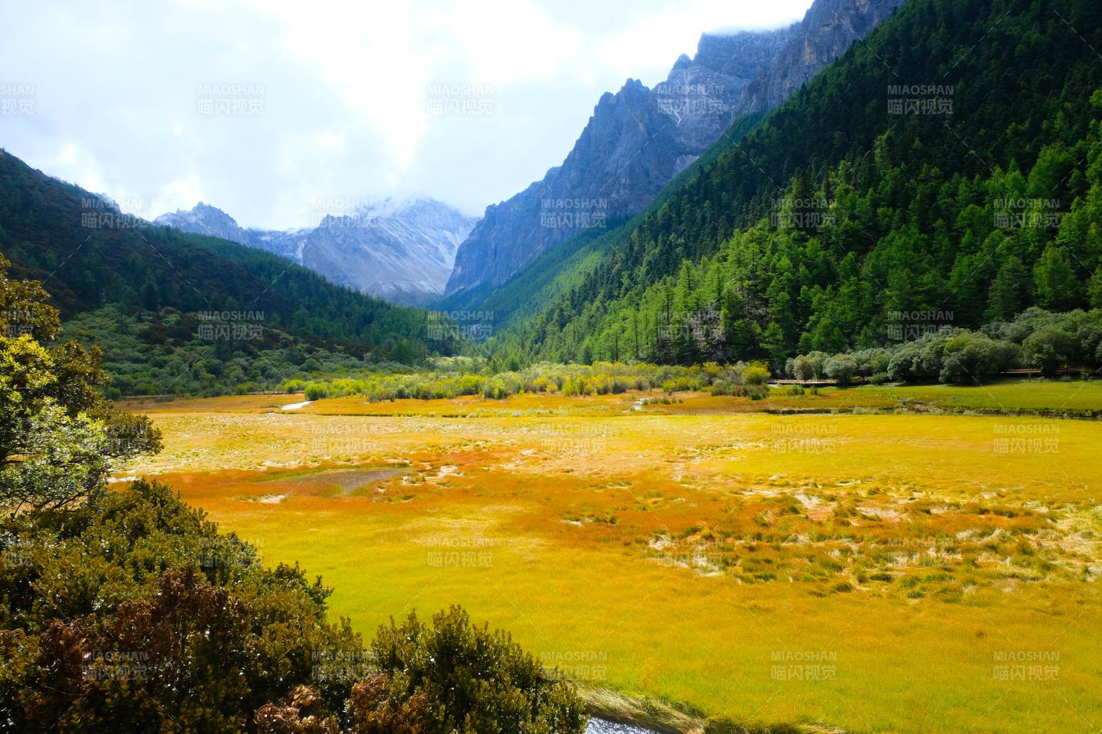 山谷金草甸 青山环抱间图片