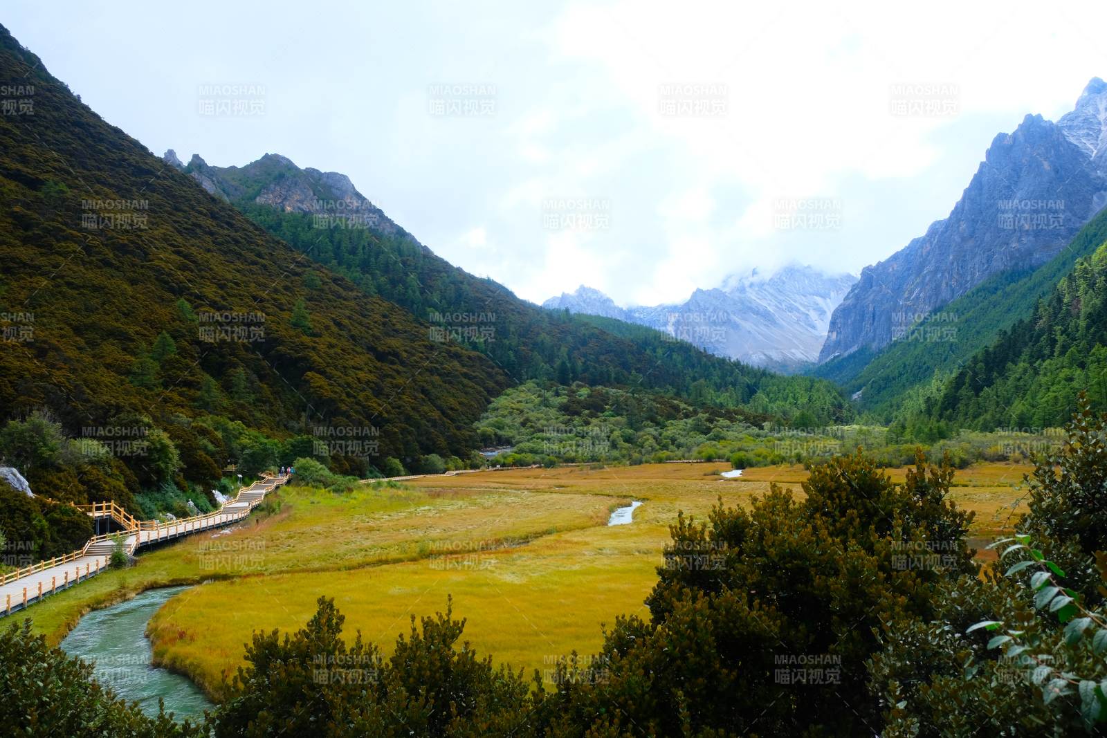 山谷草甸溪流风光图片