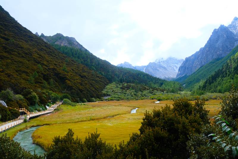 山谷草甸溪流风光图片