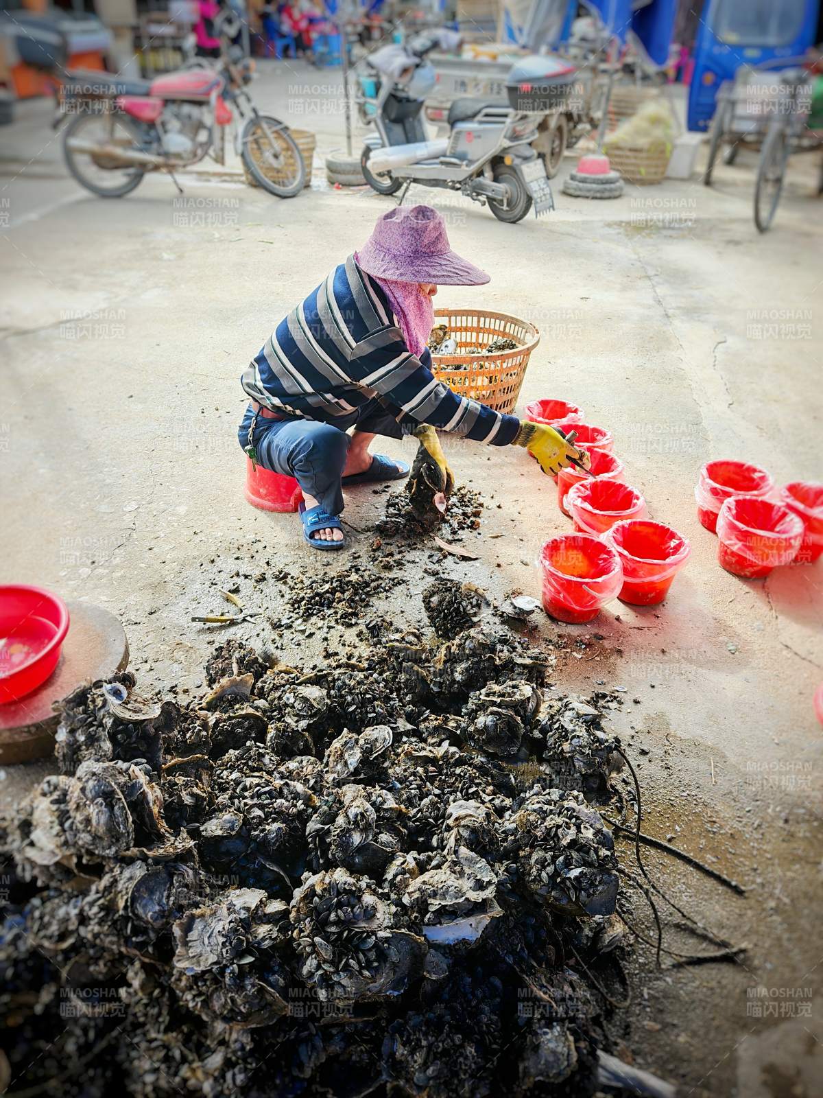 街头撬蚝忙 红桶排成行图片