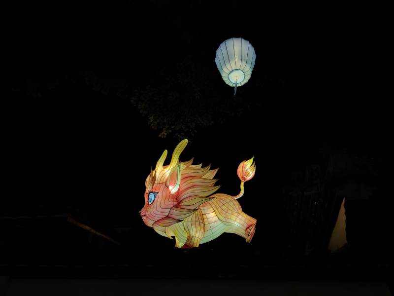 夜空中飞舞的龙形灯笼图片