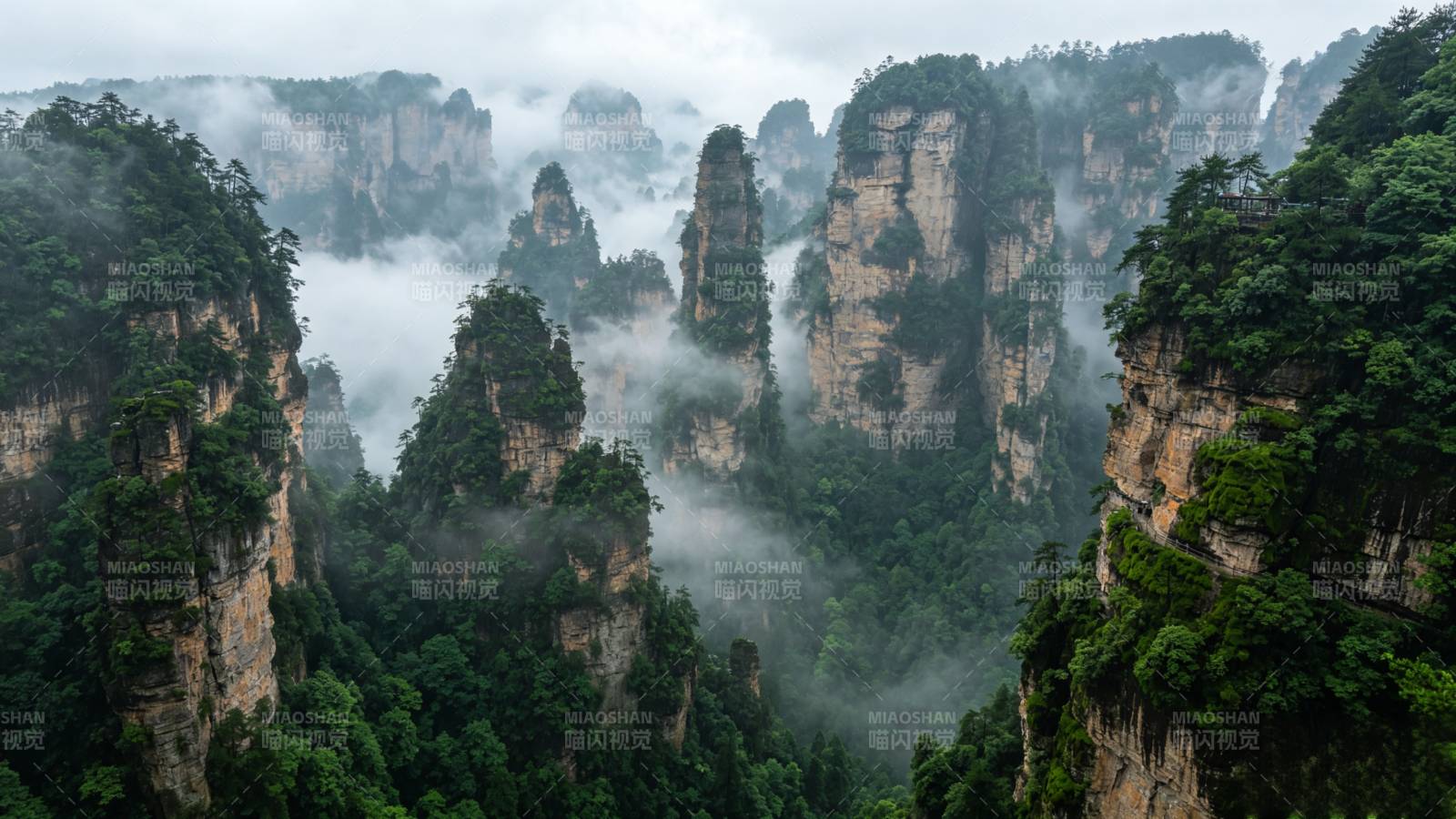 云雾缭绕张家界奇峰图片
