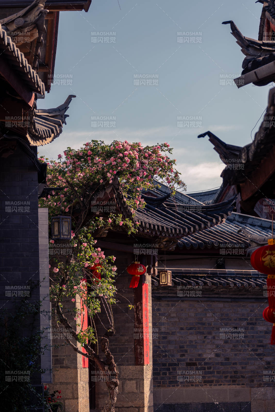 古巷花影映红灯图片