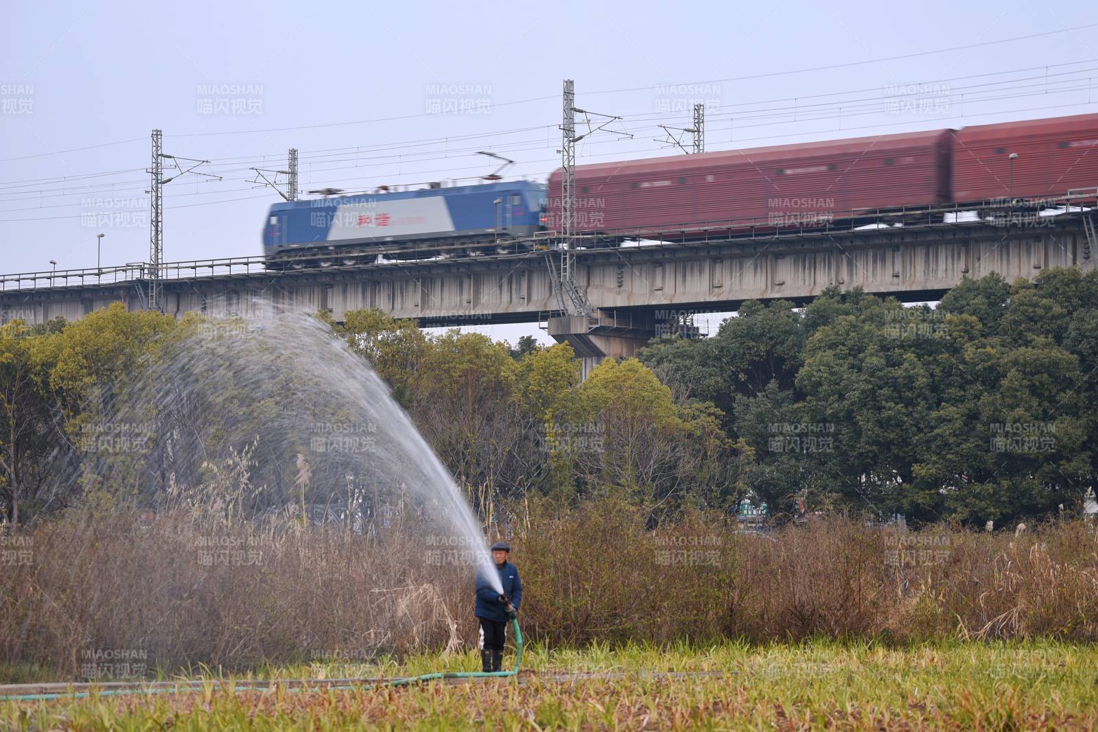 火车过桥 农夫浇田图片