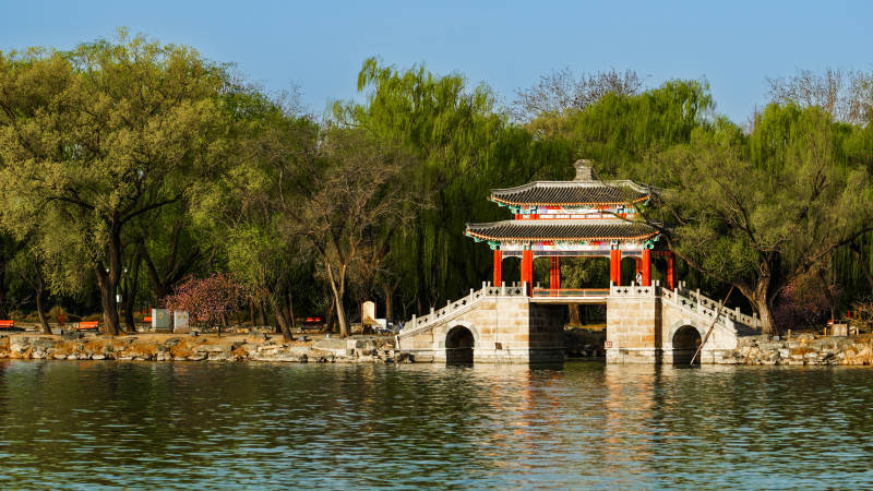 湖心亭阁映绿树碧水图片