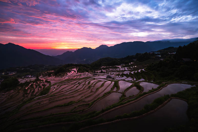云和梯田日出 山峦醉霞光图片